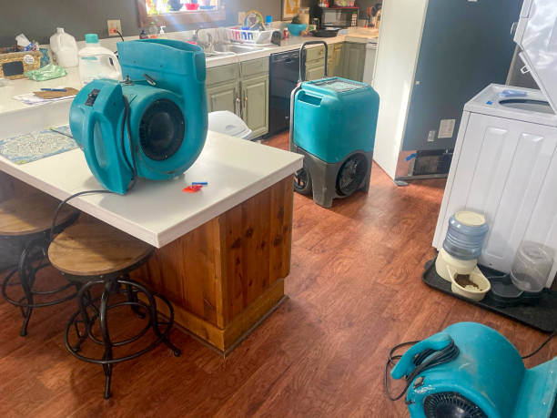 Best Basement water damage restoration  in Clarks Green, PA