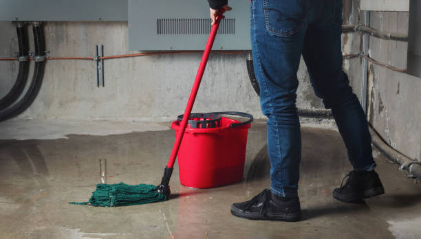 Best Flooded house restoration  in Clarks Green, PA