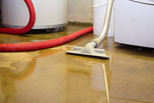  Clarks Green, PA Water damage restoration Pros