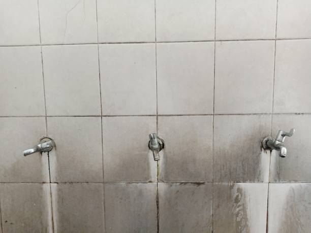 Best 24/7 water damage repair  in Clarks Green, PA