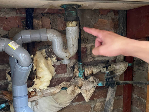 Best Residential water damage restoration  in Clarks Green, PA
