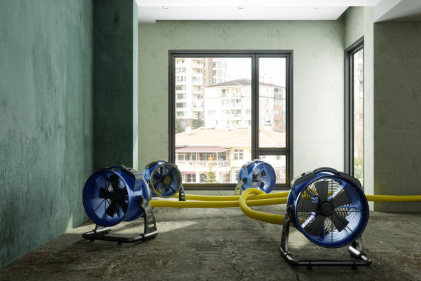 Sewage cleanup and water damage restoration in Clarks Green, PA