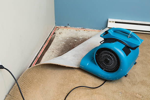 Best Commercial water damage restoration  in Clarks Green, PA